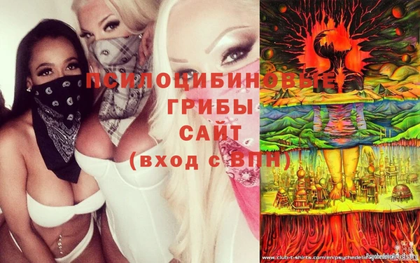 гидра Волосово