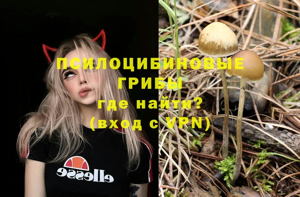 эйфоретик Володарск